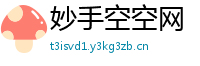 妙手空空网